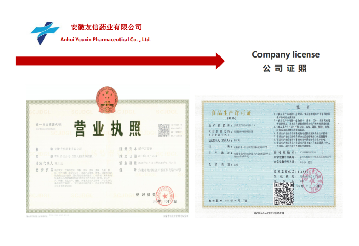 公司证照